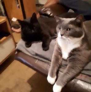 Meet your Posher, Jean